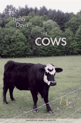 lydiadaviscows