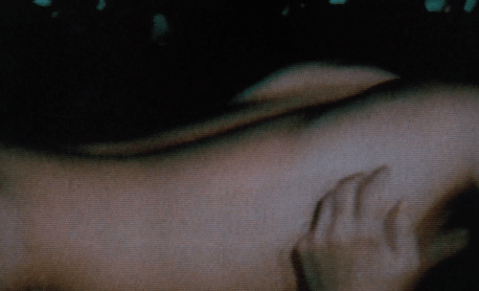 tumblr_mpm4trIHHb1szpm73o1_500